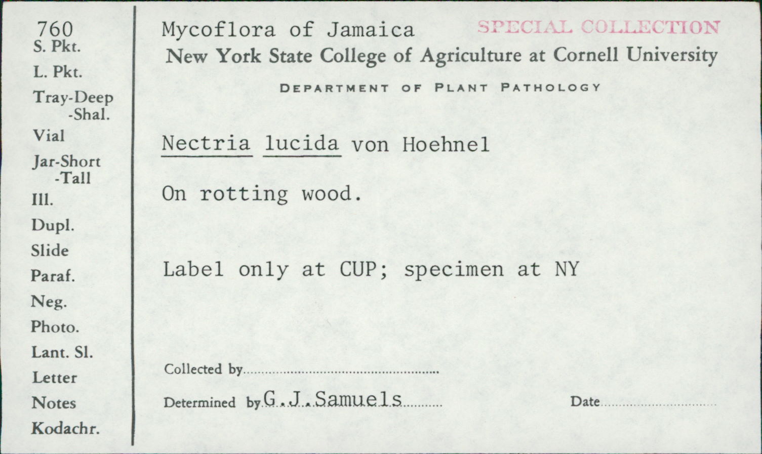 Thelonectria image