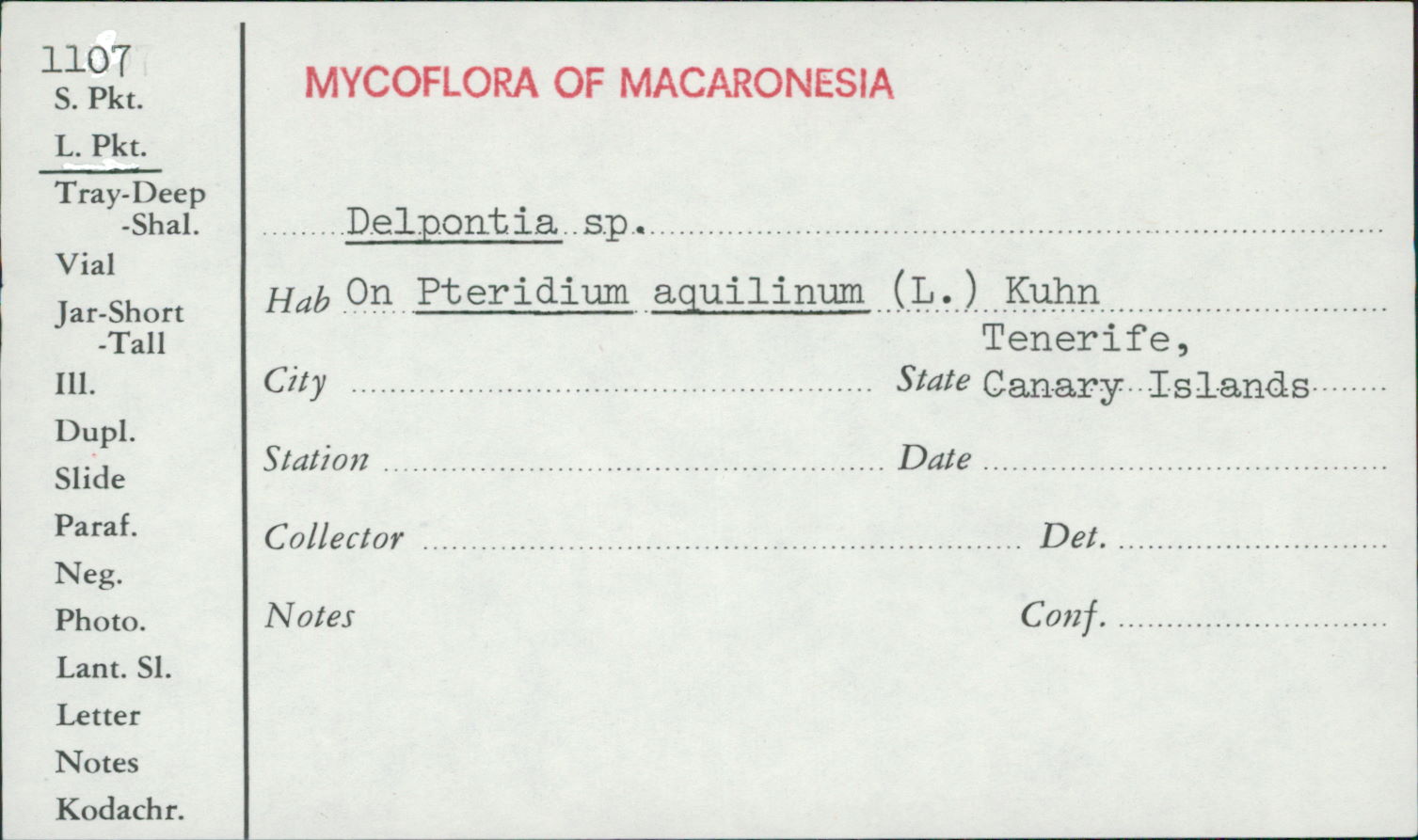 Delpontia image