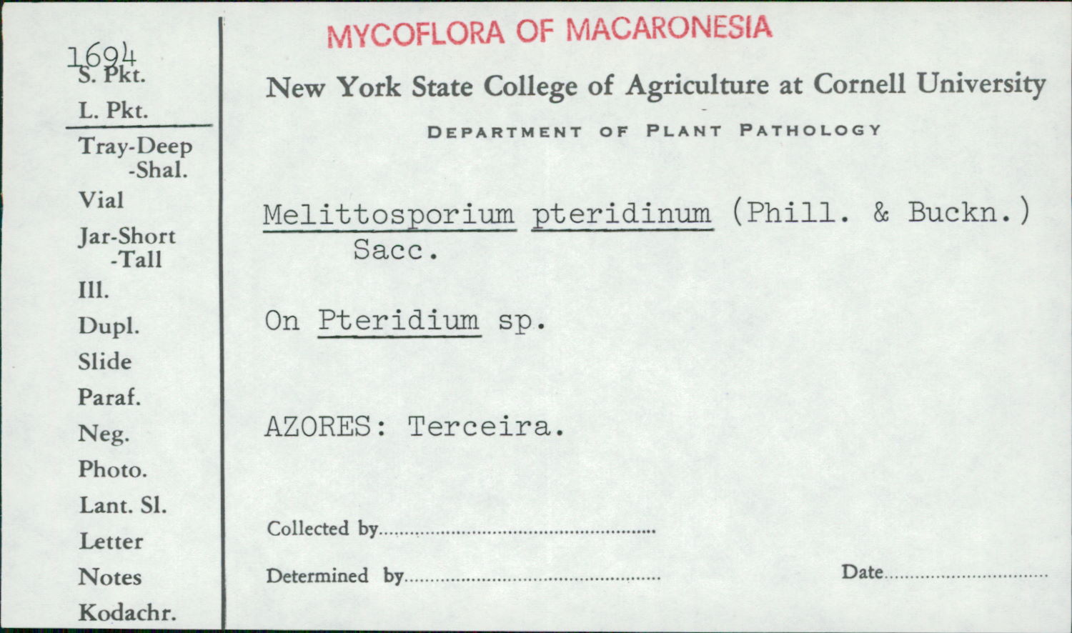Melittosporium image