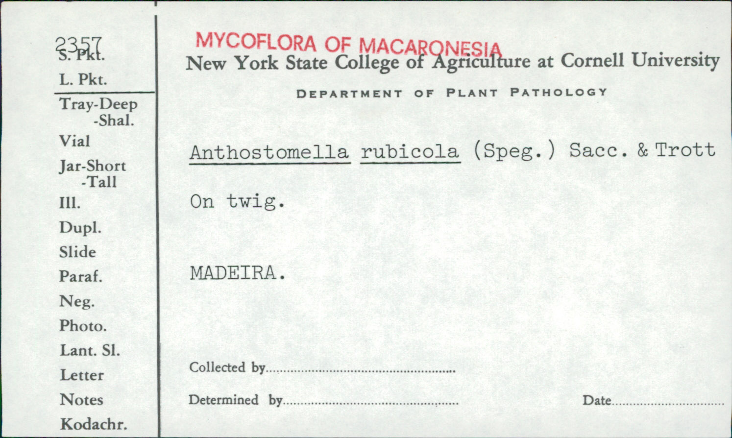 Anthostomella rubicola image