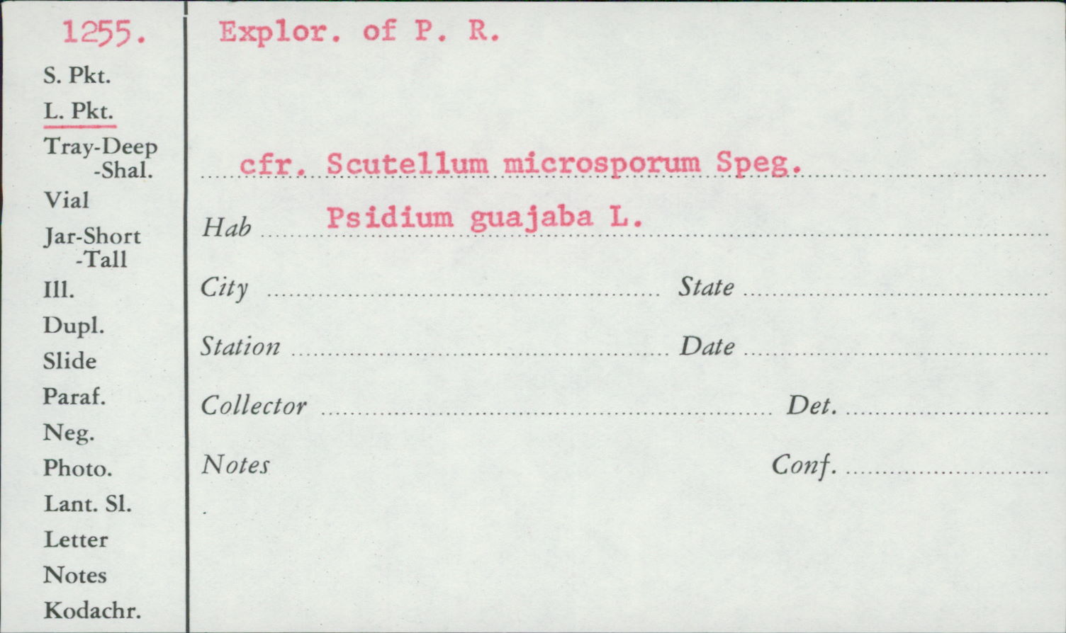 Scutellum microsporum image