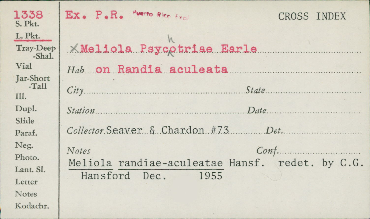 Meliola randiae-aculeatae image