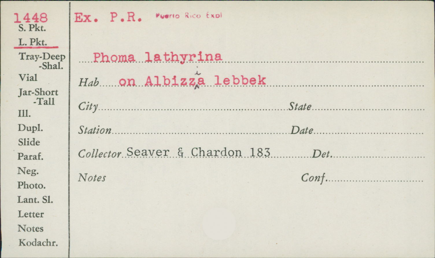 Phoma lathyrina image