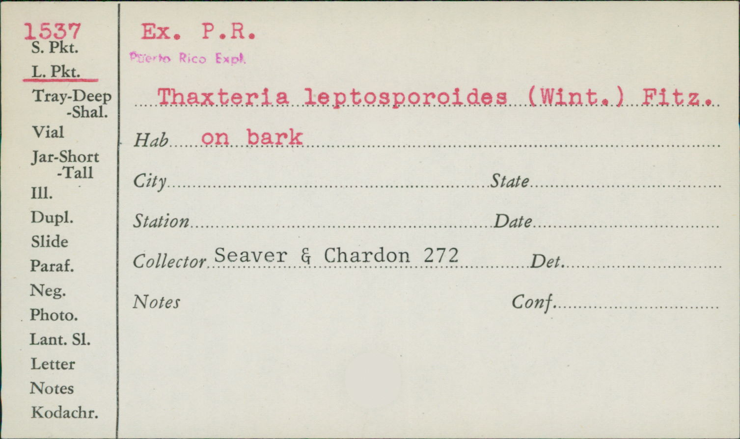 Thaxteria leptosporoides image