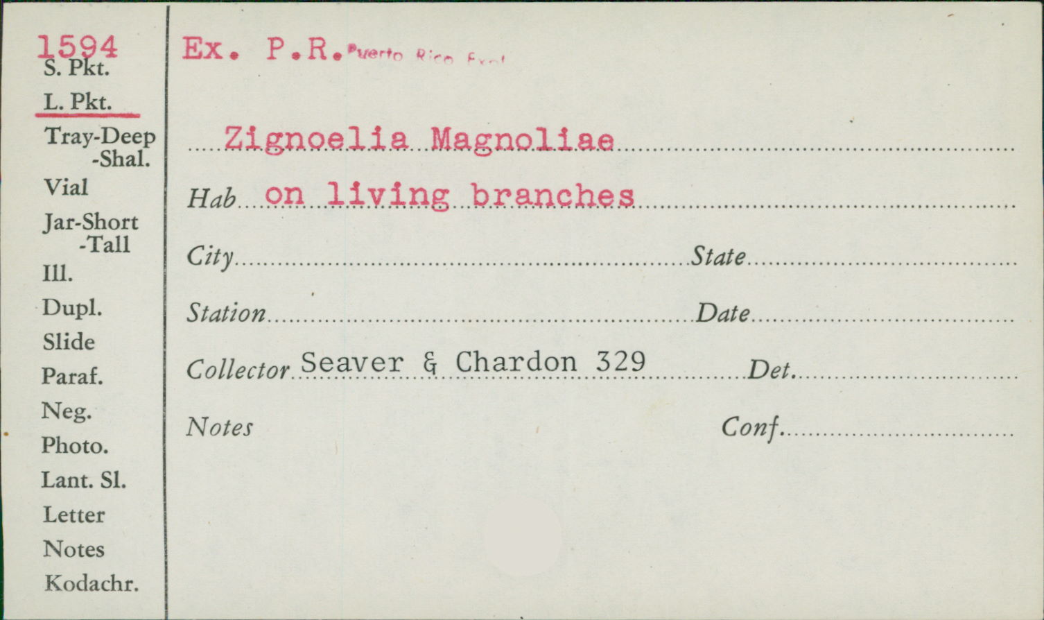Zignoëlla magnoliae image
