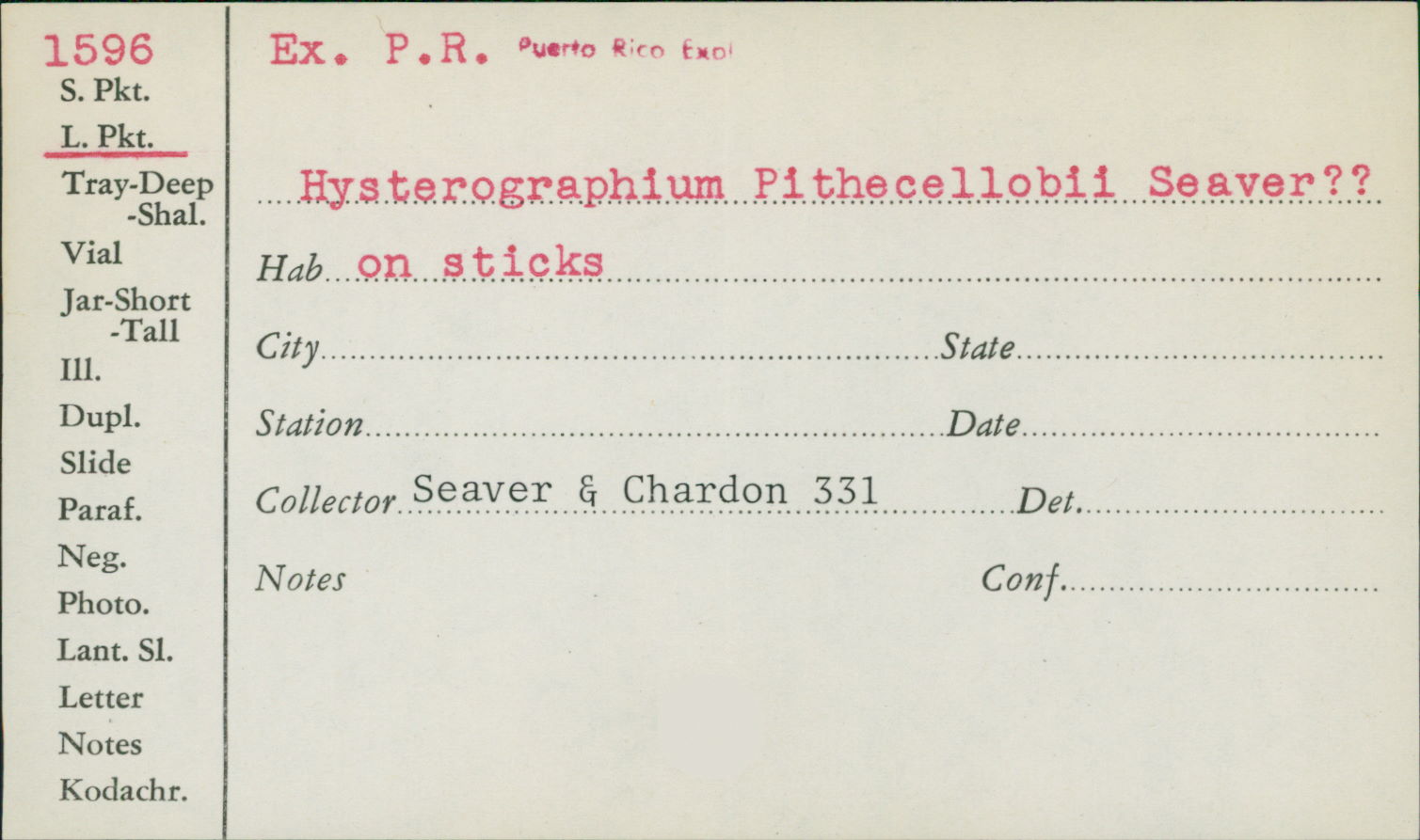 Hysterographium pithecellobii image