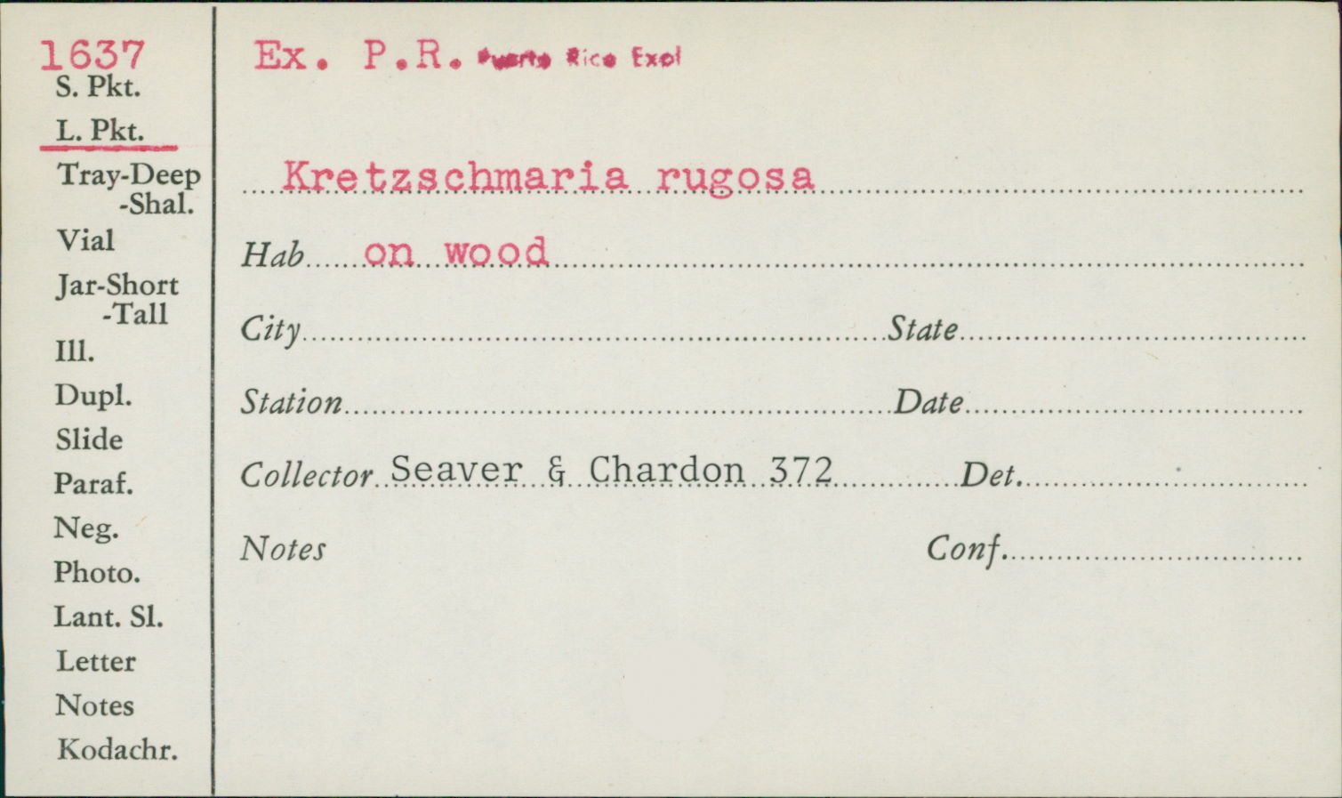 Kretzschmaria rugosa image