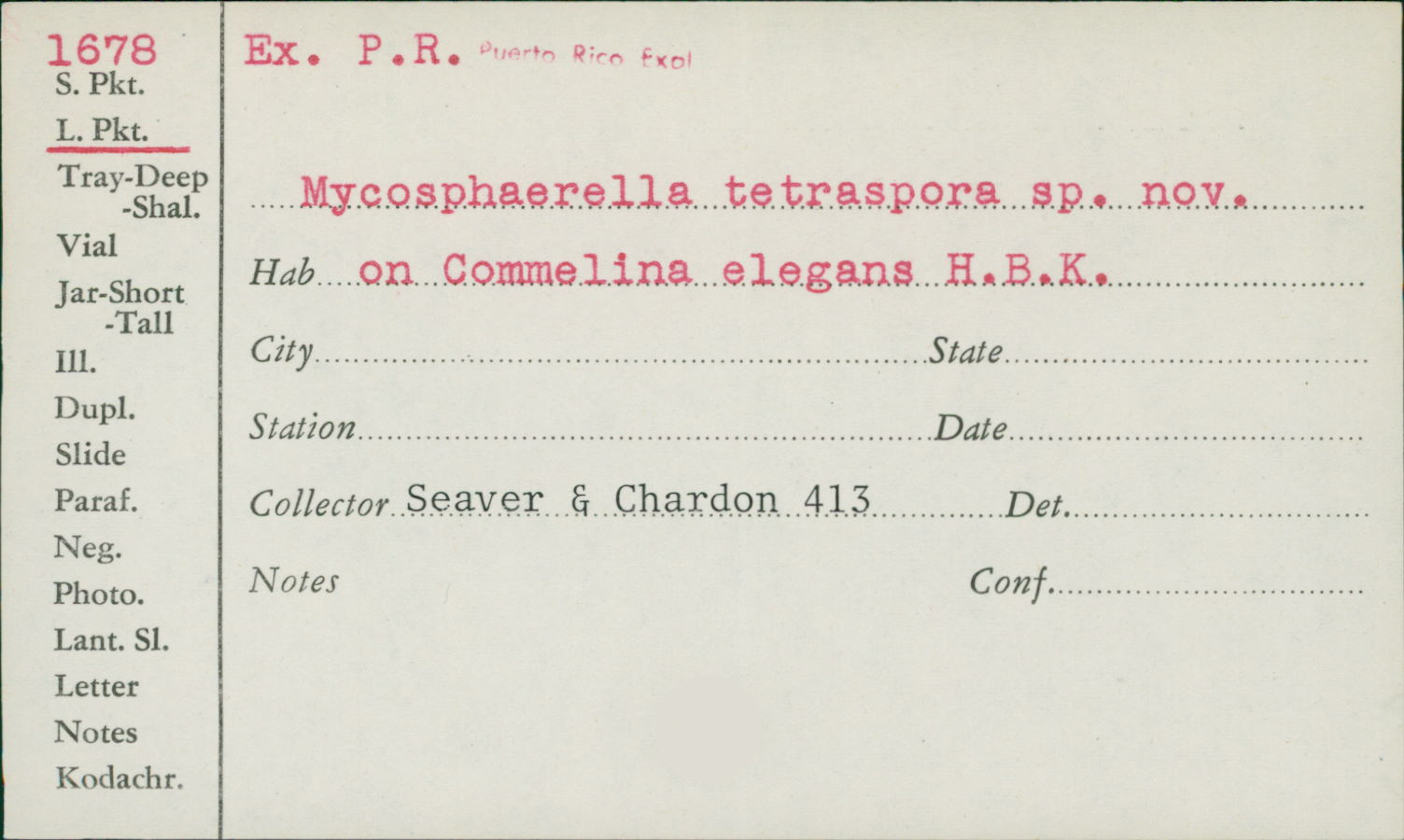 Mycosphaerella tetraspora image