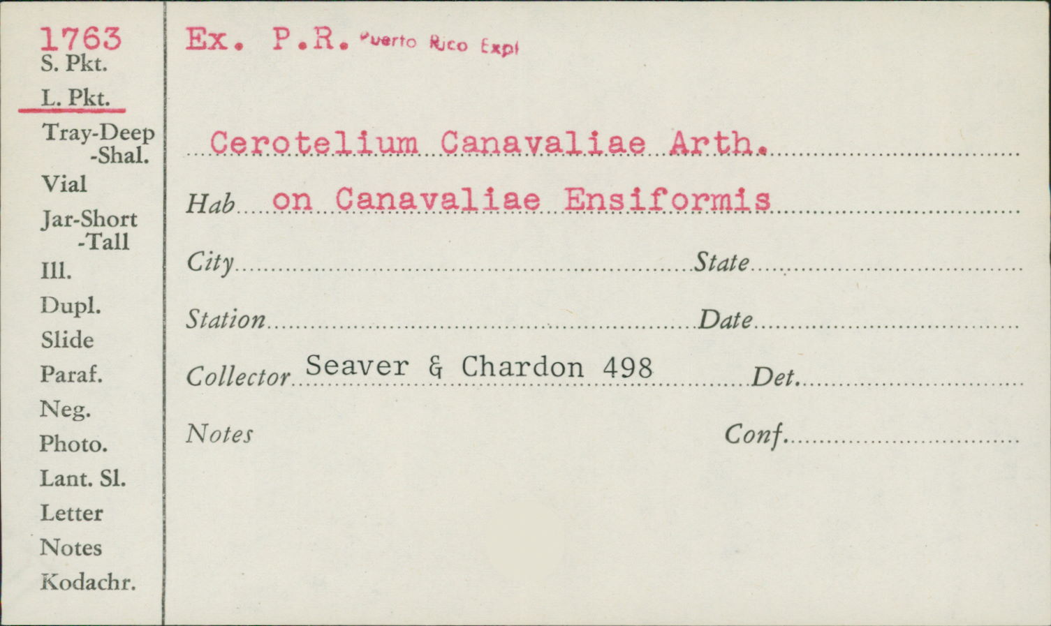 Cerotelium canavaliae image