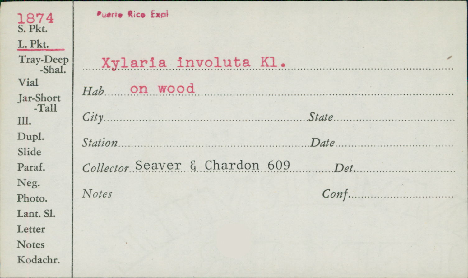 Xylaria involuta image