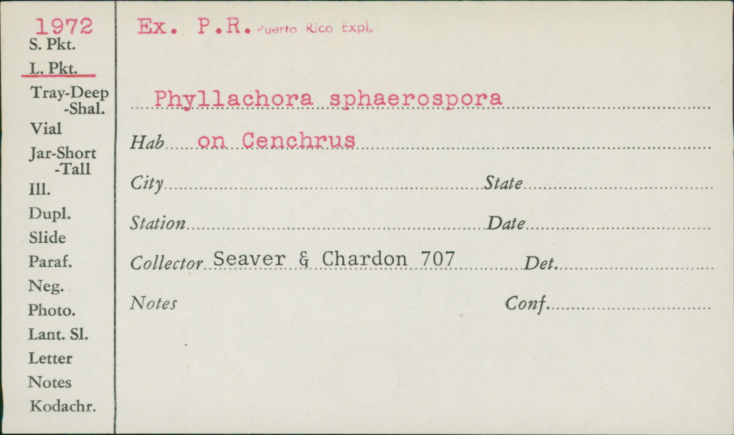 Phyllachora sphaerospora image
