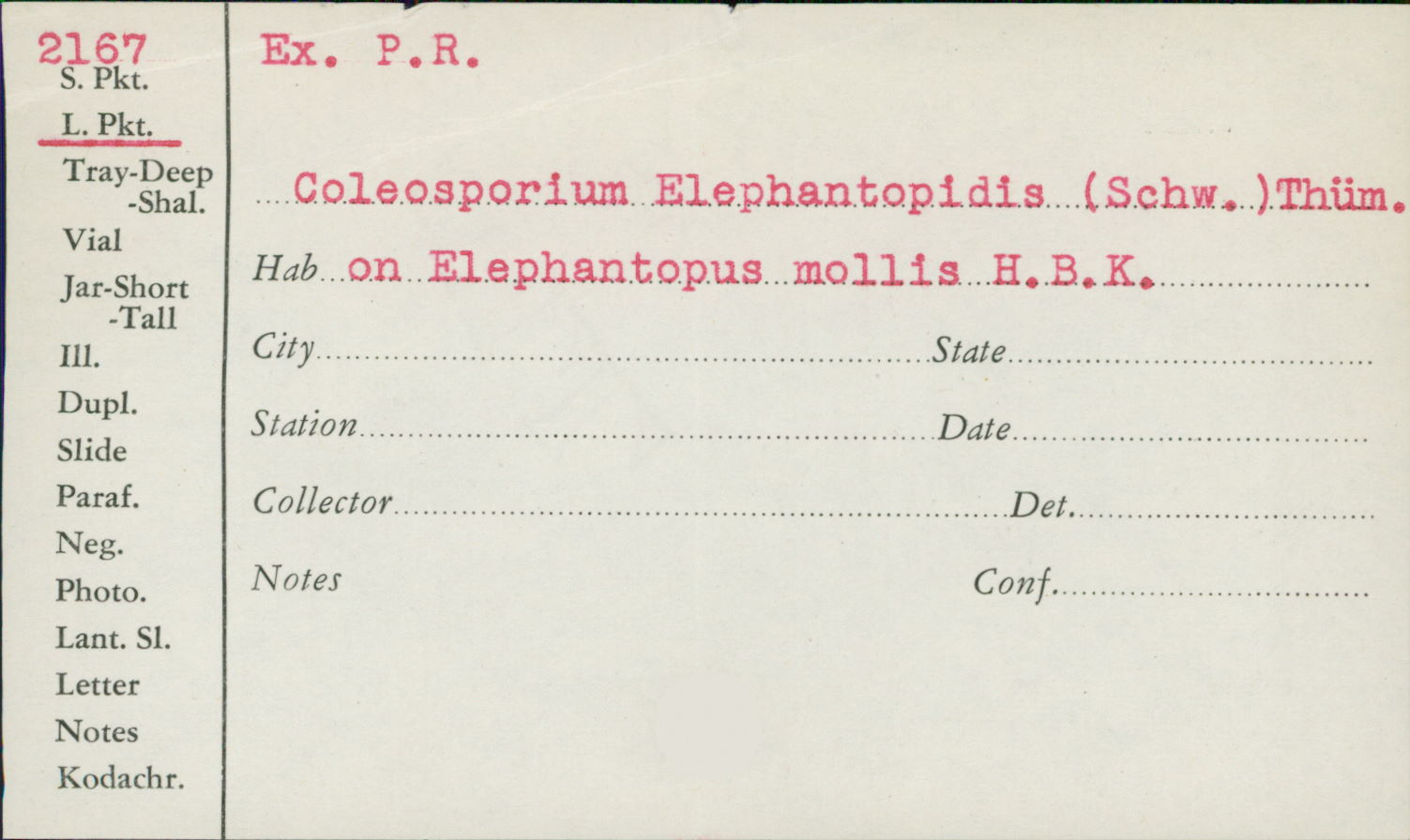 Coleosporium elephantopi image