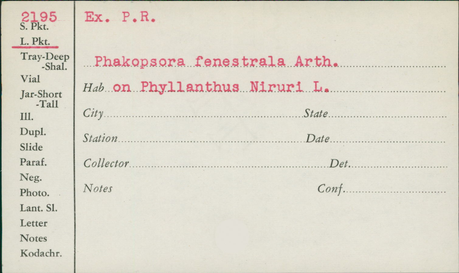 Phakopsora fenestrala image