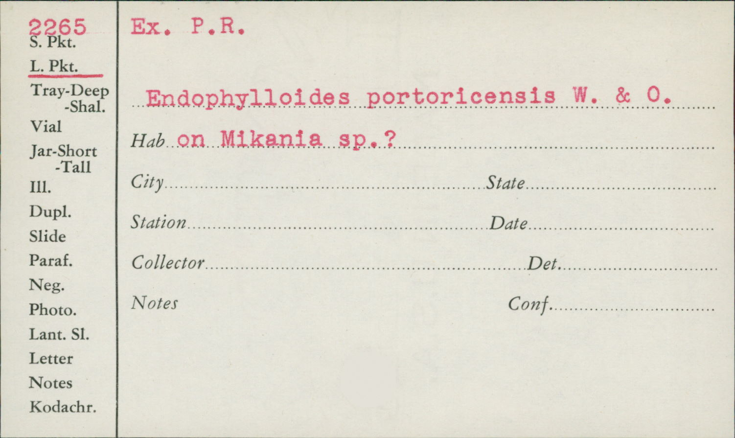 Pucciniosiraceae image