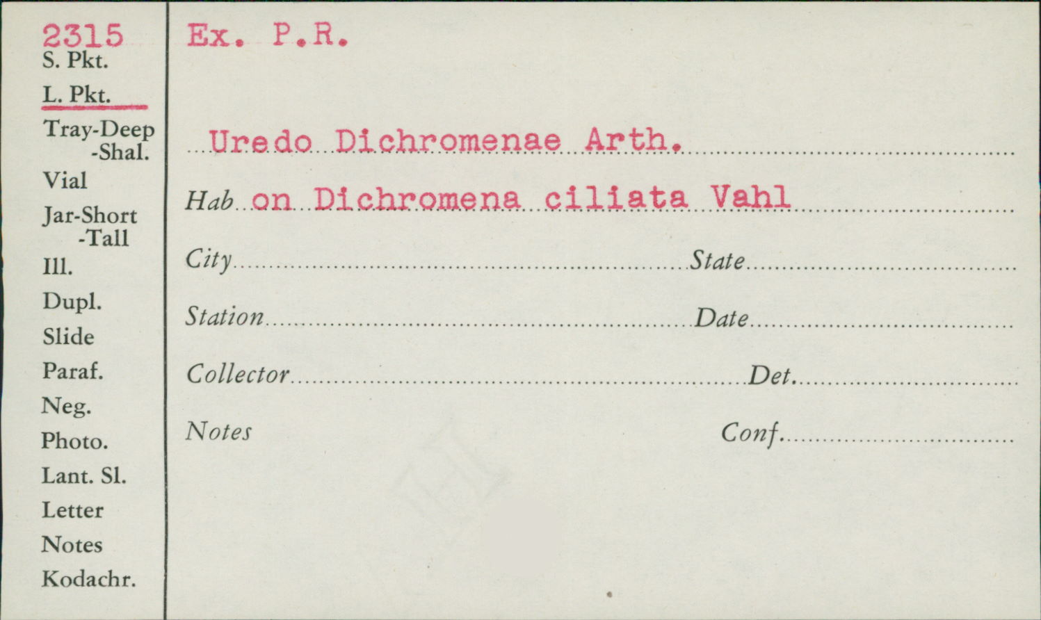 Uredo dichromenae image