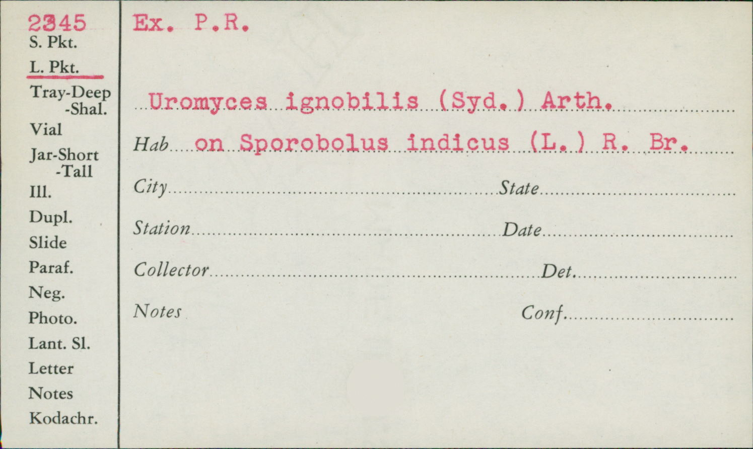 Uromyces ignobilis image