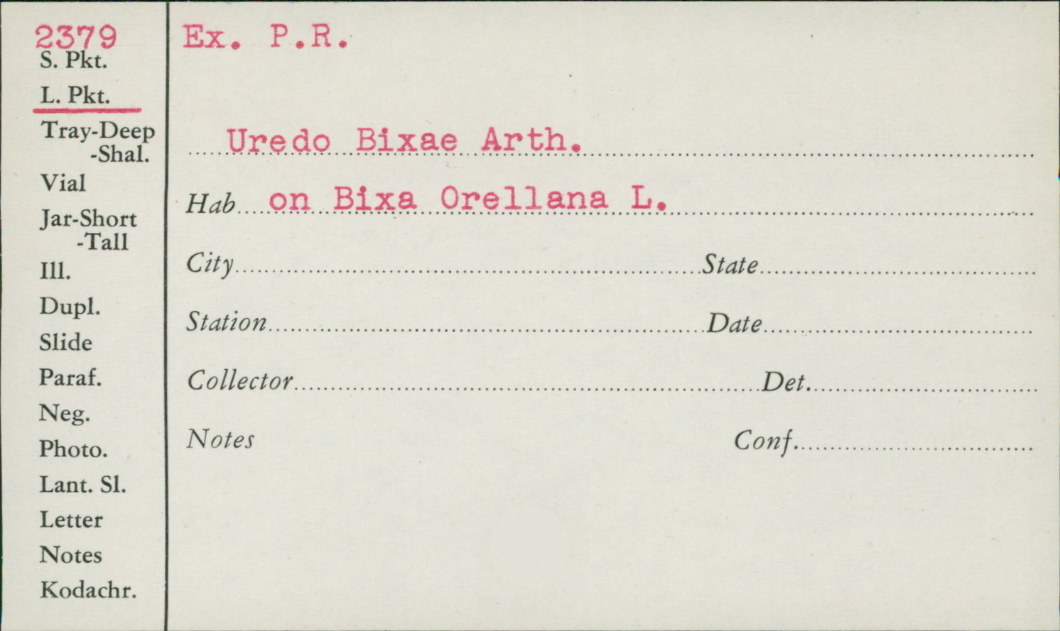 Uredo bixae image