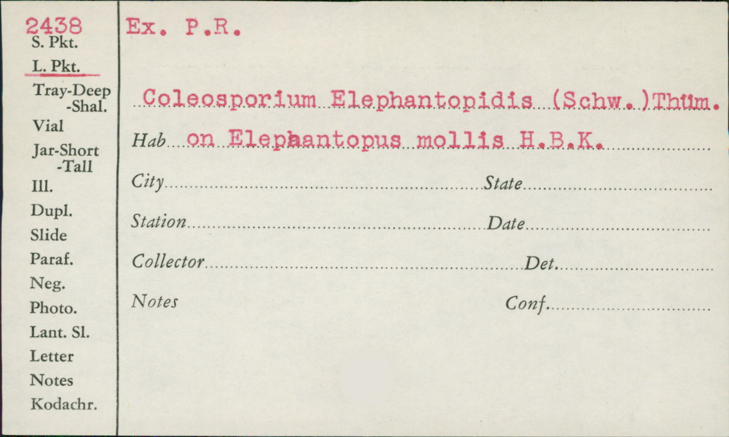 Coleosporium elephantopodis image