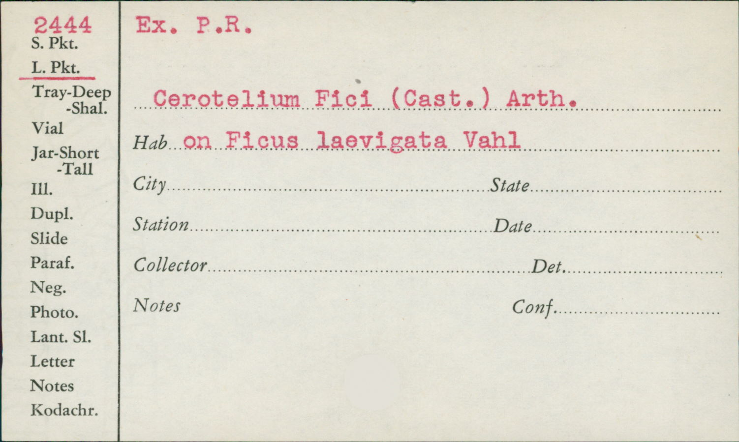 Cerotelium fici image
