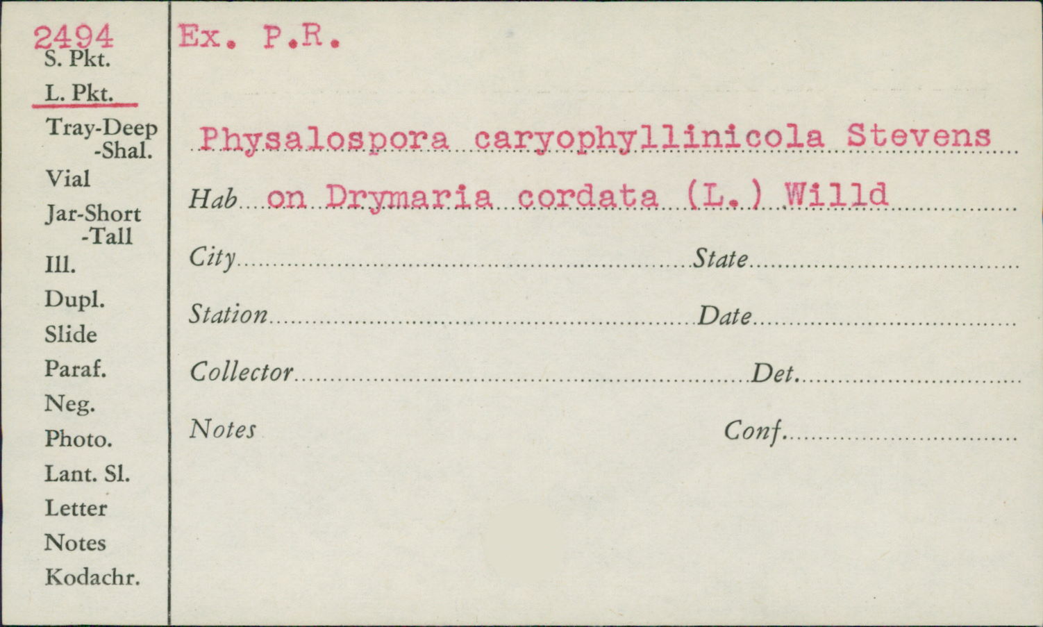 Physalospora caryophyllinicola image