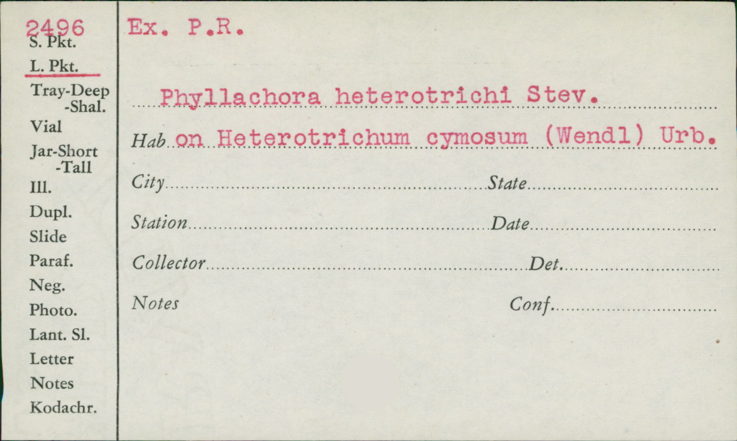 Phyllachora heterotrichi image