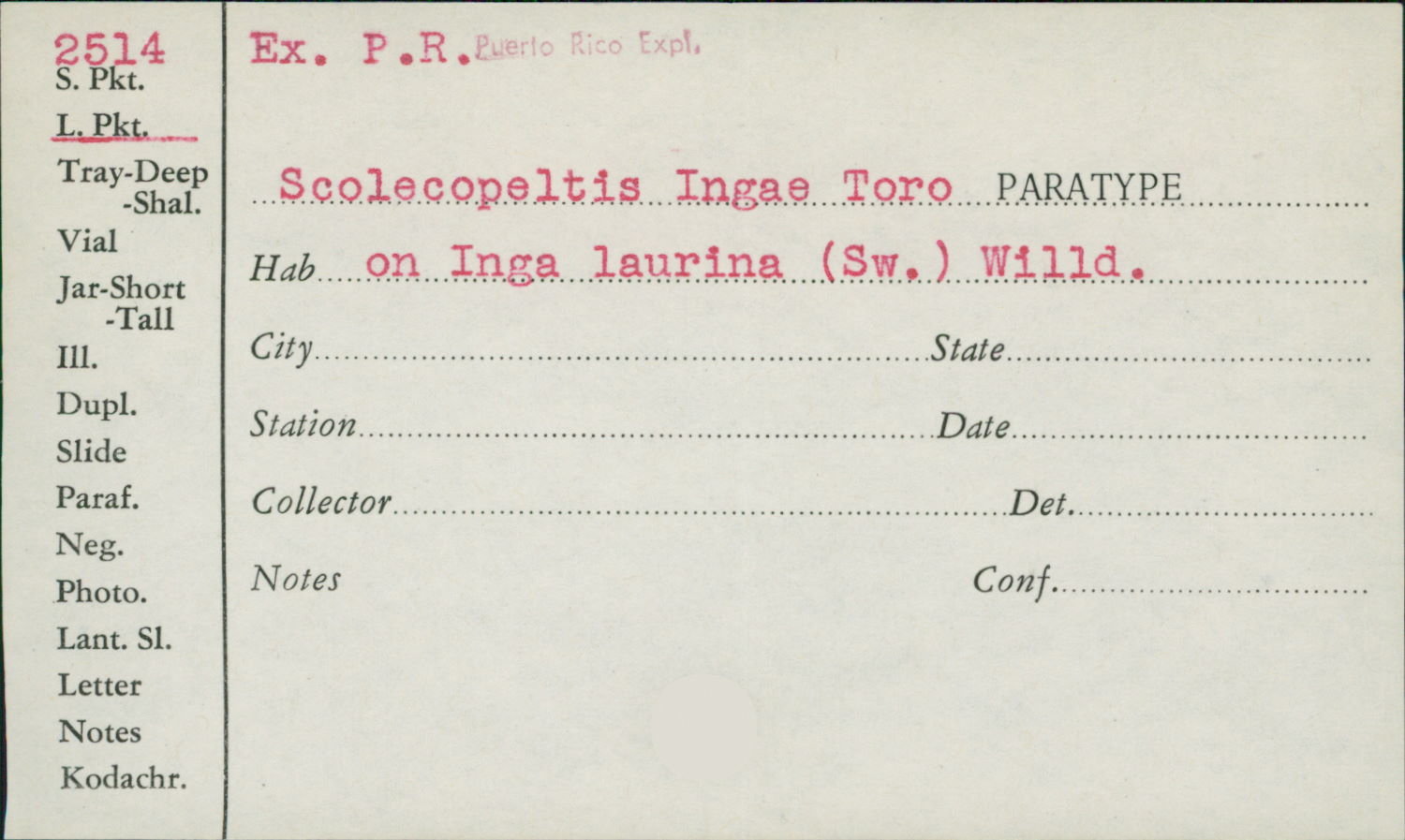 Scolecopeltis ingae image