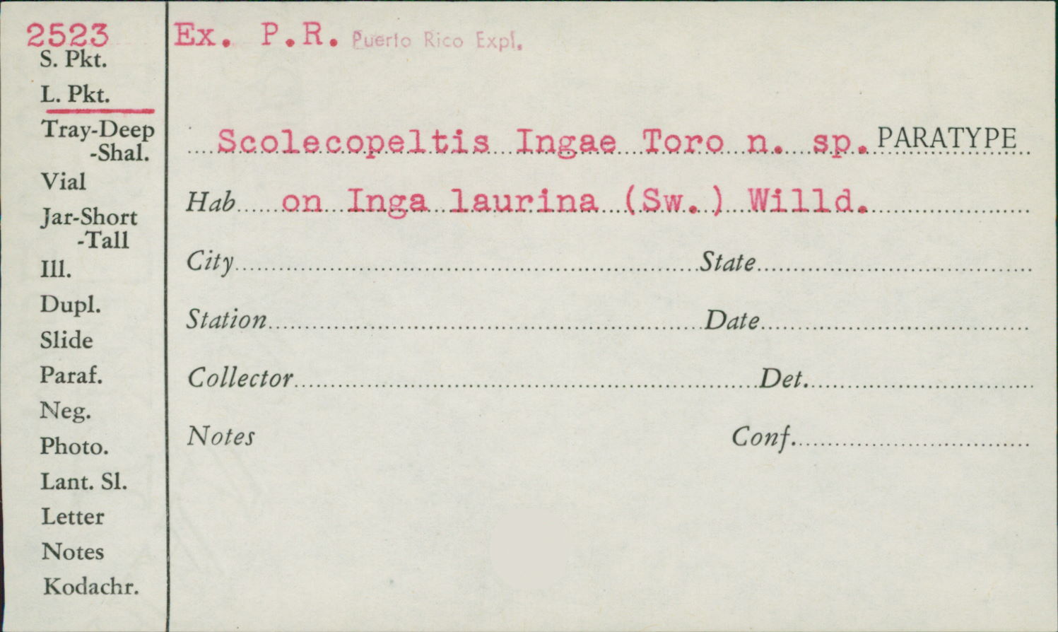 Scolecopeltis image