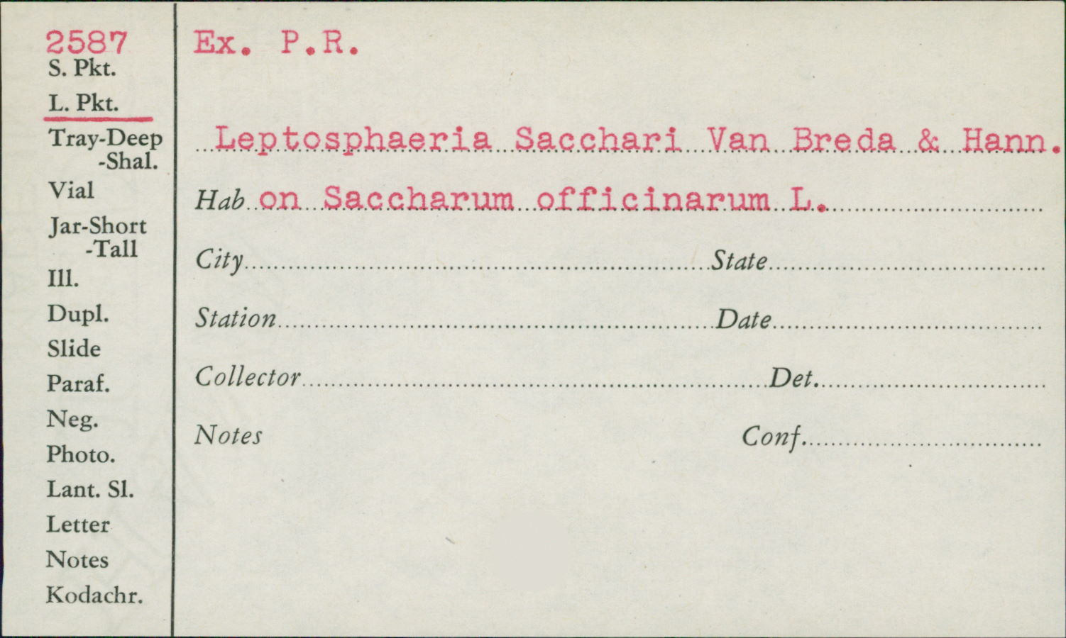 Leptosphaeria sacchari image