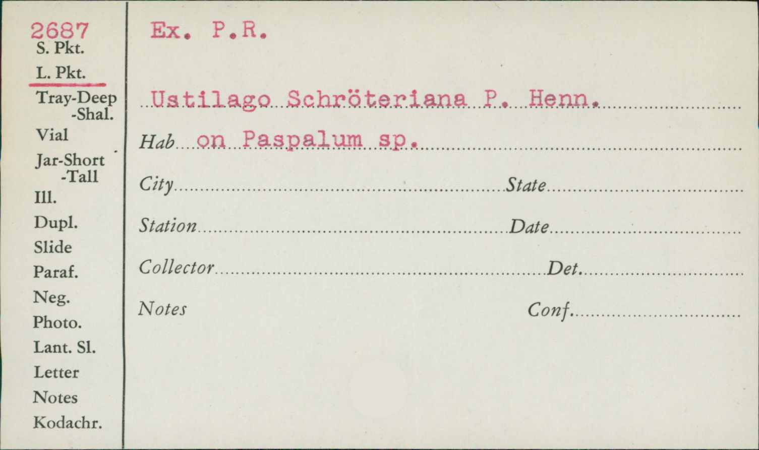 Ustilago schroeteriana image
