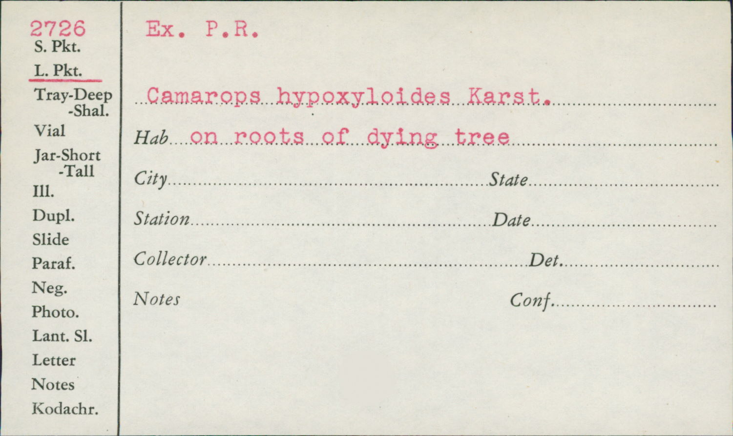 Camarops hypoxyloides image