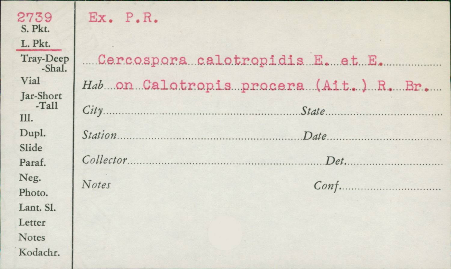 Passalora calotropidis image