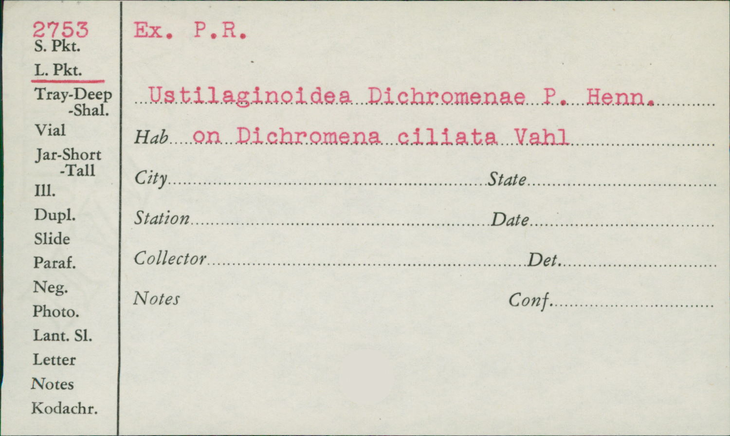 Ustilaginoidea dichromenae image