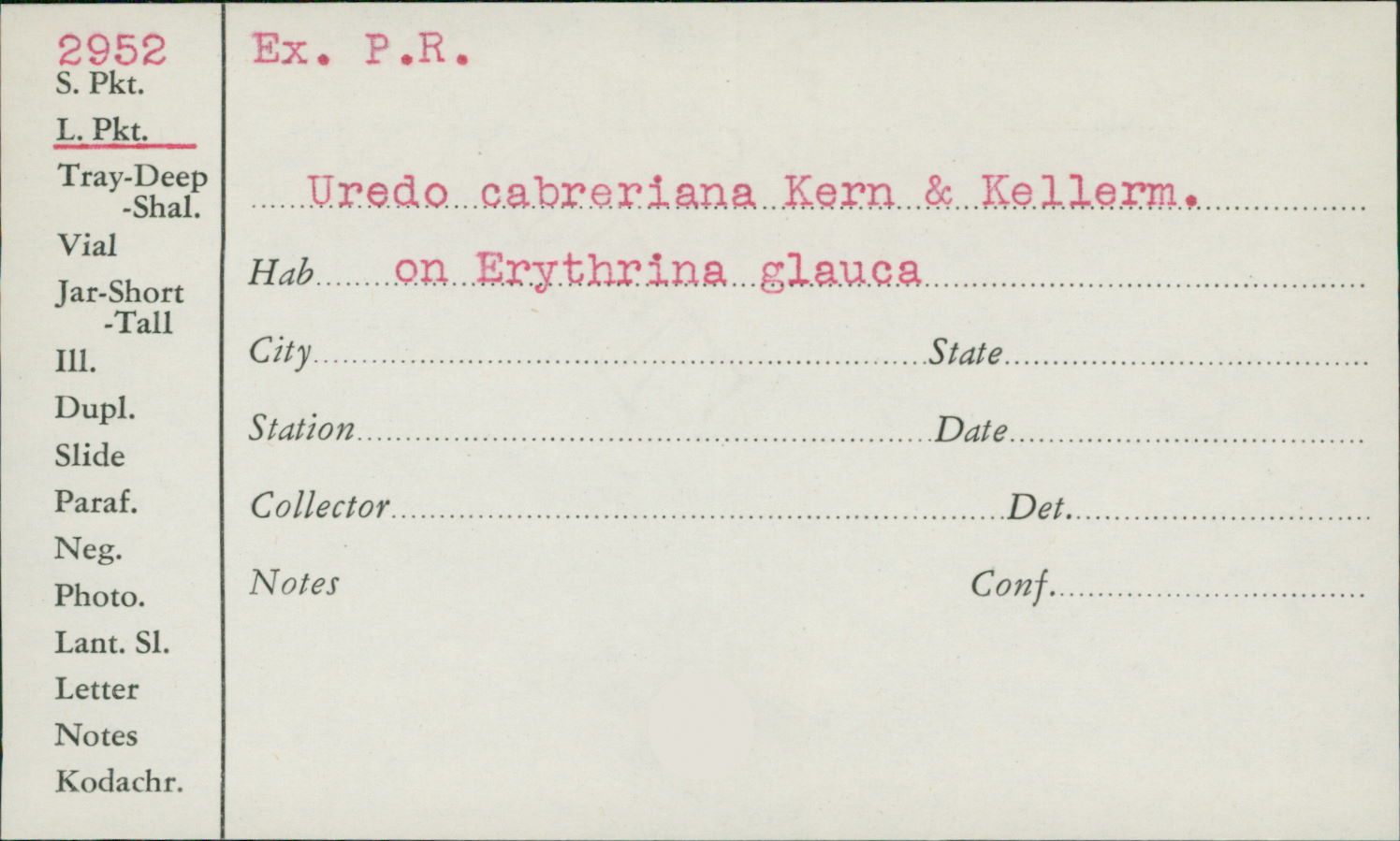 Uredo cabreriana image