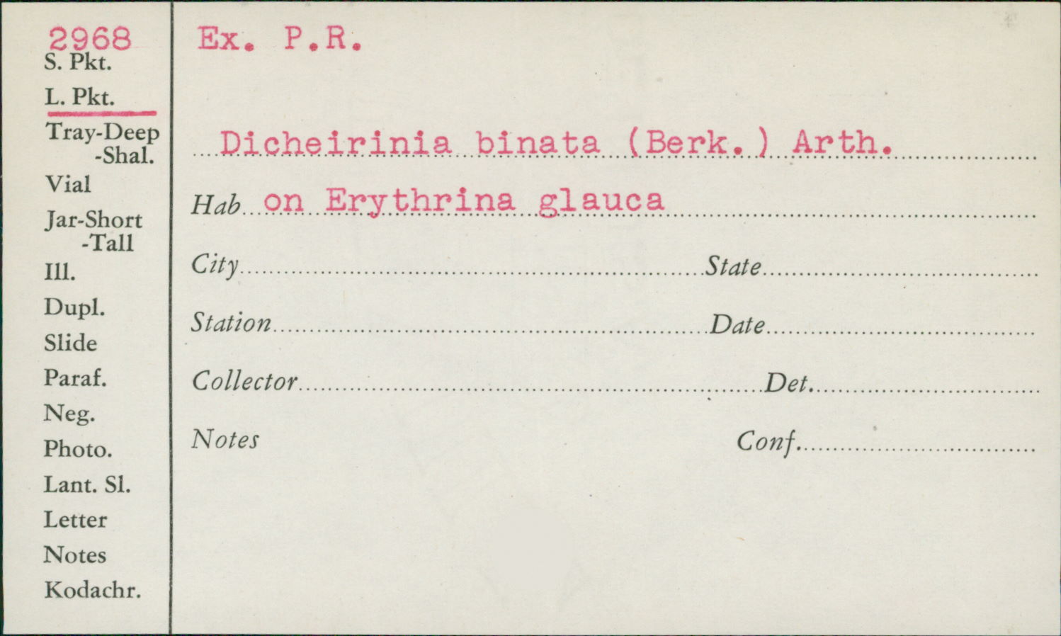 Dicheirinia binata image