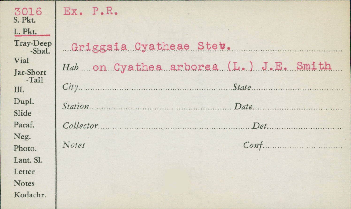 Griggsia image
