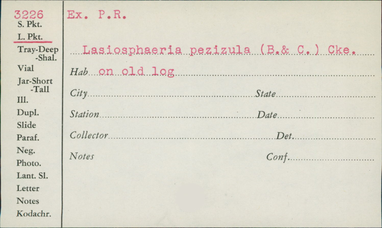 Thaxteriella pezizula image