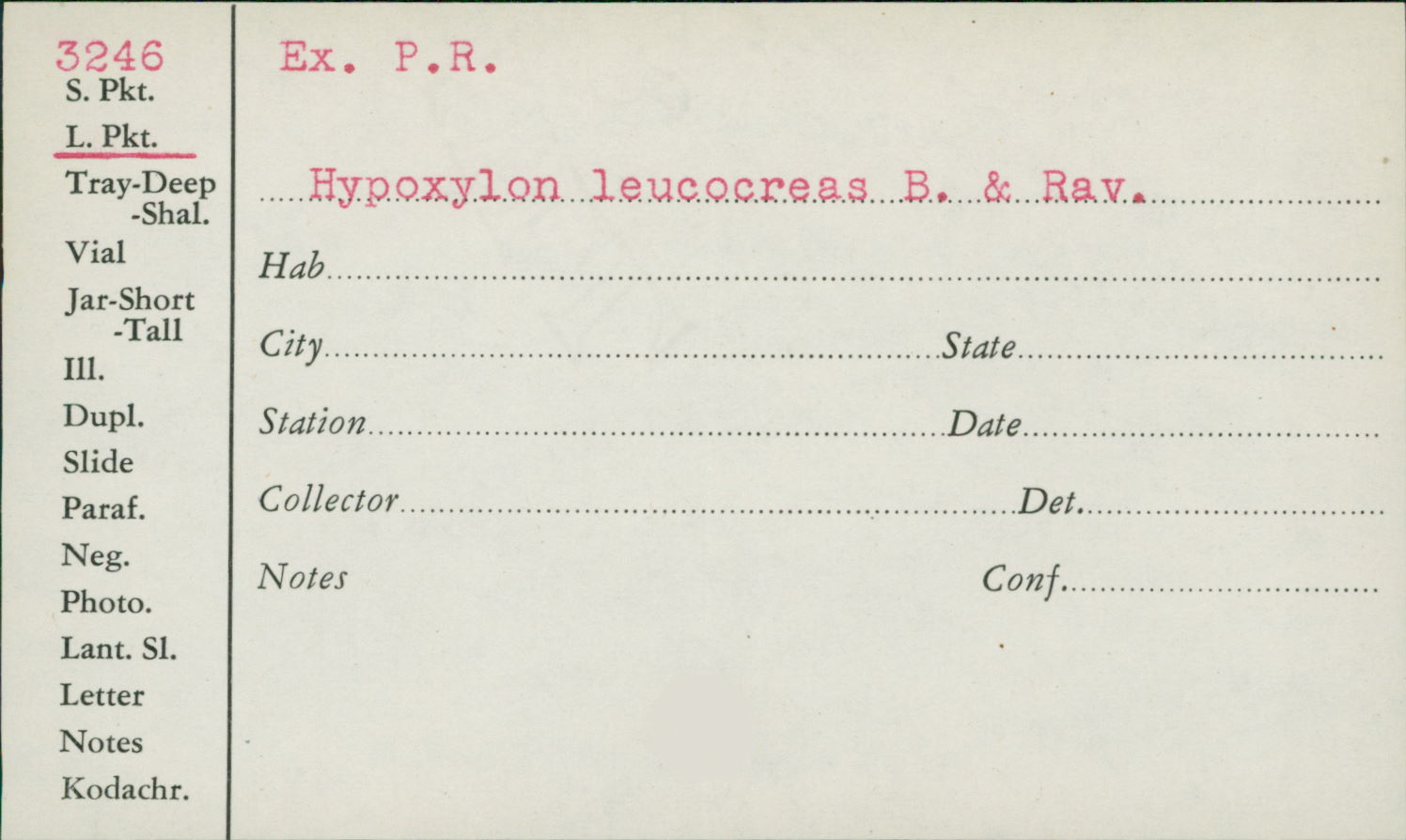 Hypoxylon leucocreas image
