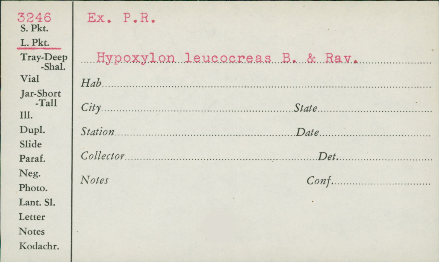 Hypoxylon leucocreas image