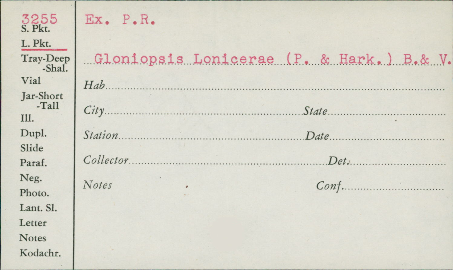 Gloniopsis lonicerae image