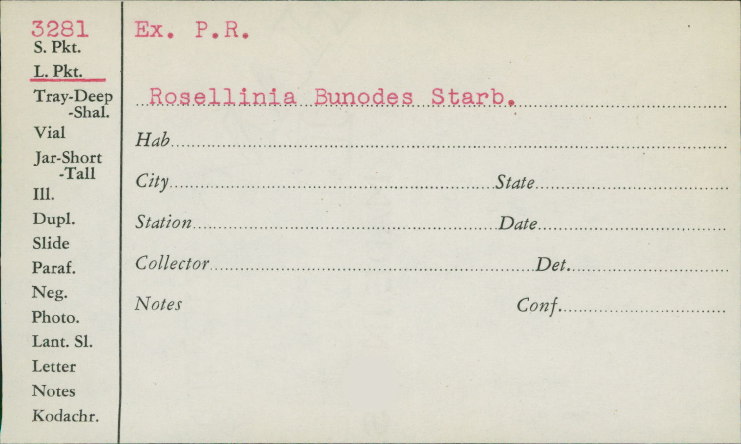 Rosellinia bunodes image
