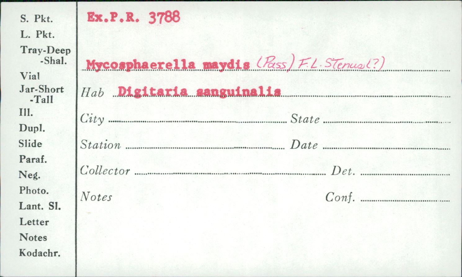 Mycosphaerella maydis image