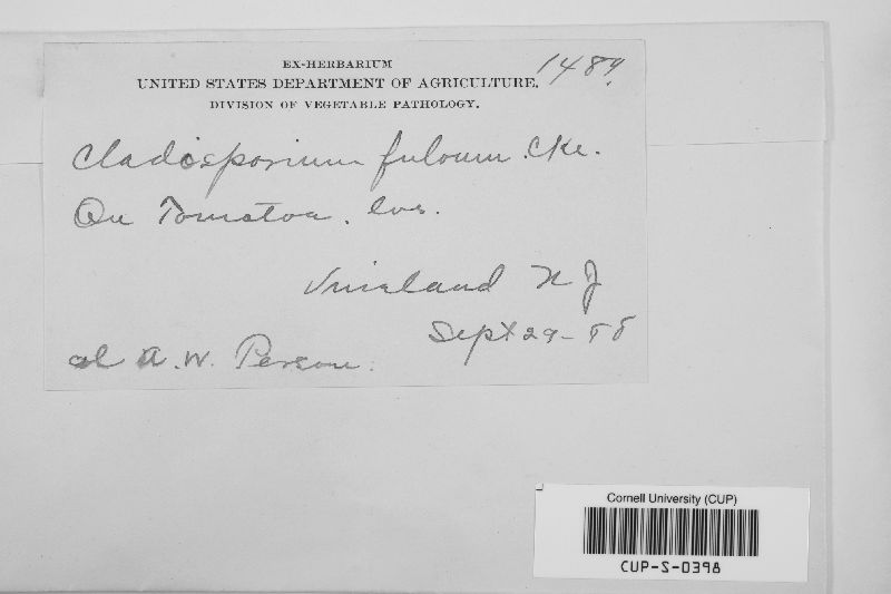 Passalora fulva image