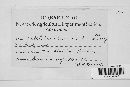 Colletotrichum lindemuthianum image