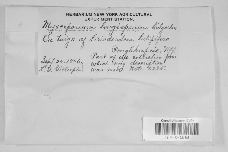 Cryptosporiopsis edgertonii image