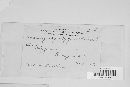 Uromyces polygoni-avicularis image