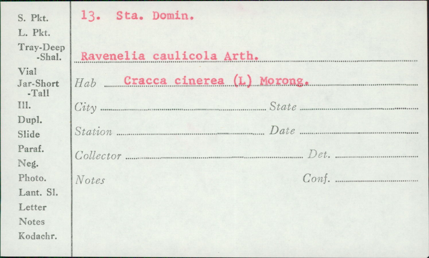 Ravenelia caulicola image