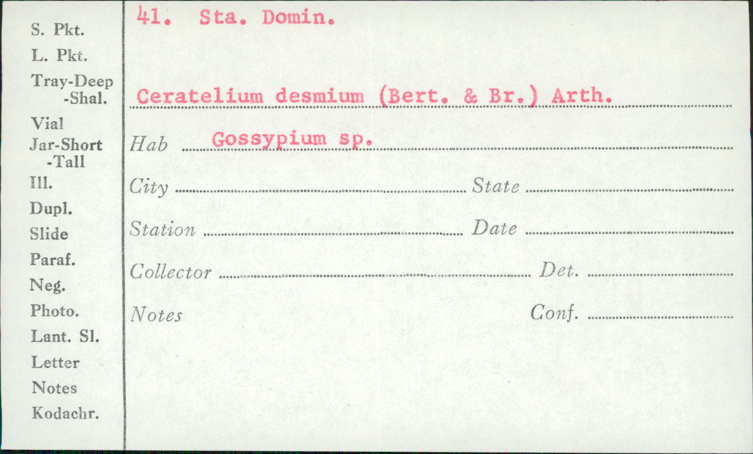 Ceratelium image