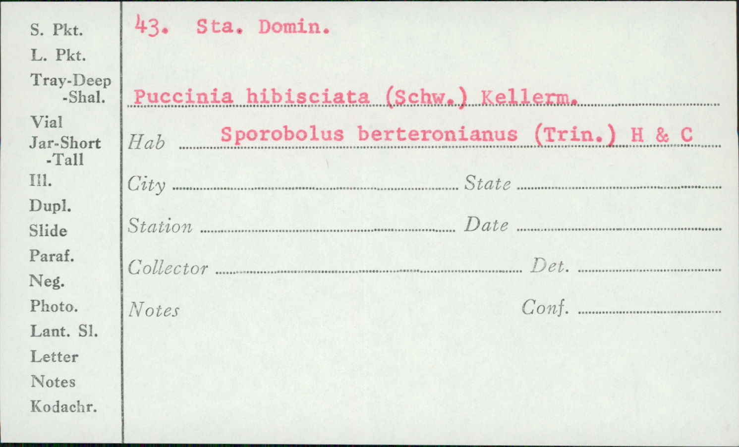 Puccinia hibisci image