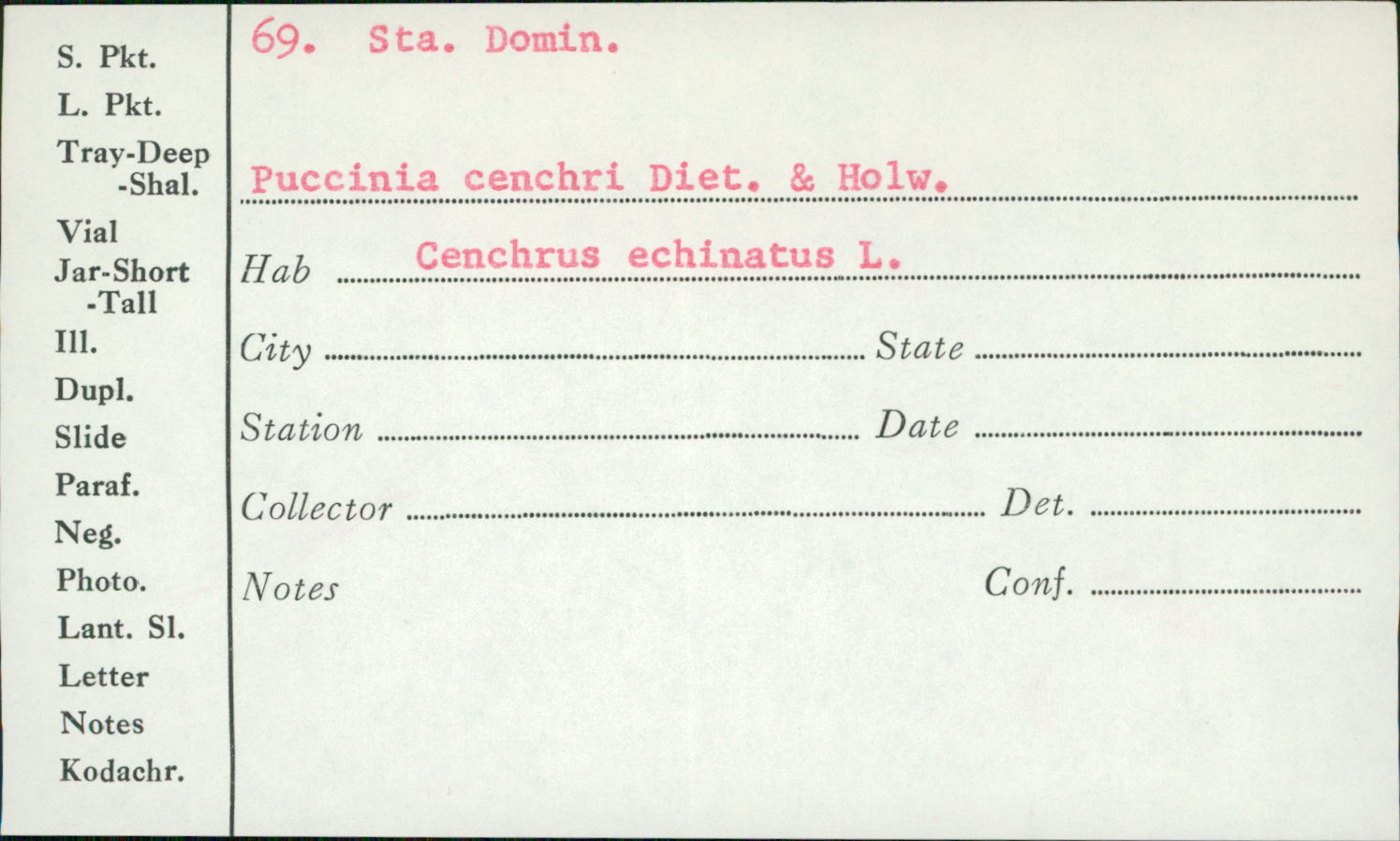 Puccinia cenchri image