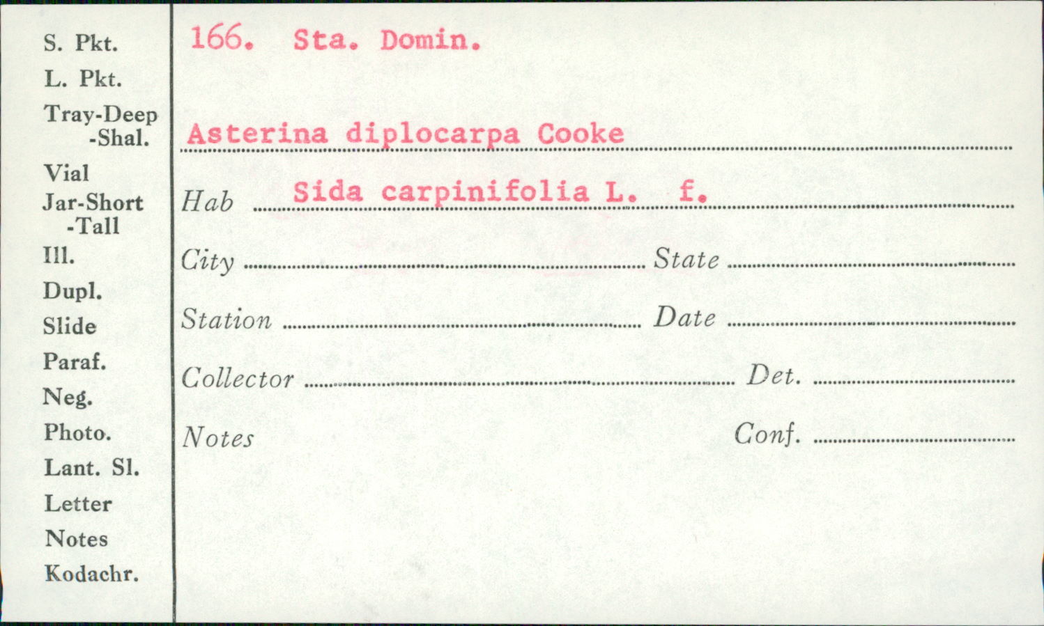 Asterina diplocarpa image